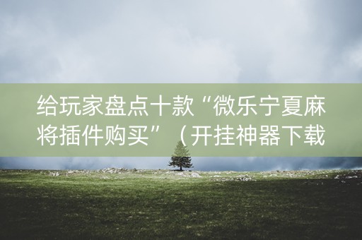 给玩家盘点十款“微乐宁夏麻将插件购买”（开挂神器下载)