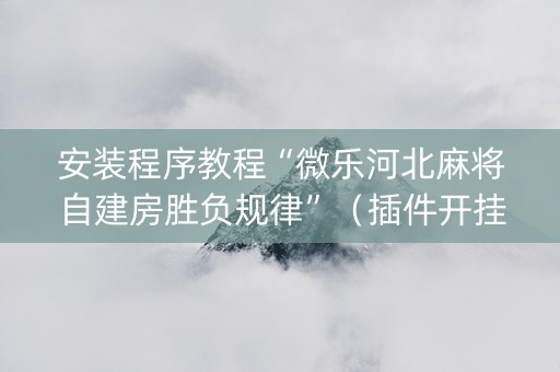 安装程序教程“微乐河北麻将自建房胜负规律”（插件开挂免费AI)