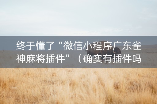 终于懂了“微信小程序广东雀神麻将插件”（确实有插件吗)