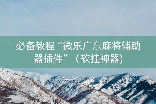 必备教程“微乐广东麻将辅助器插件”（软挂神器)