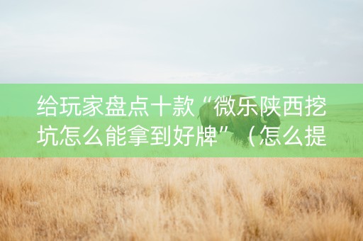 给玩家盘点十款“微乐陕西挖坑怎么能拿到好牌”（怎么提高胜率)