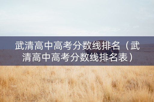 武清高中高考分数线排名（武清高中高考分数线排名表）