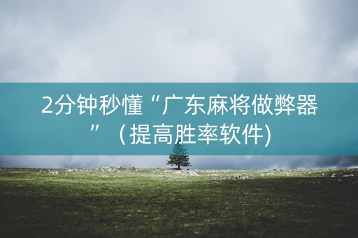 2分钟秒懂“广东麻将做弊器”（提高胜率软件)