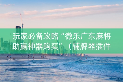 玩家必备攻略“微乐广东麻将助赢神器购买”（辅牌器插件购买)