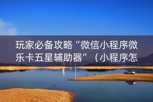 玩家必备攻略“微信小程序微乐卡五星辅助器”（小程序怎么才会赢)