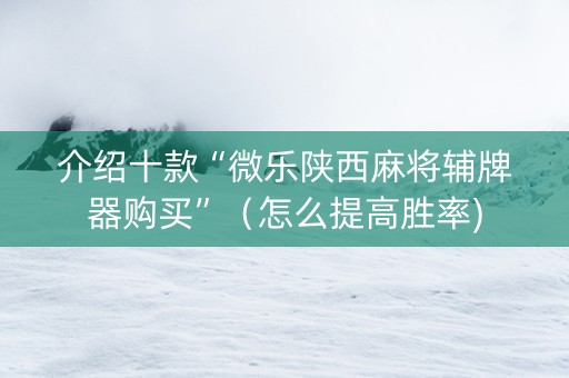 介绍十款“微乐陕西麻将辅牌器购买”（怎么提高胜率)