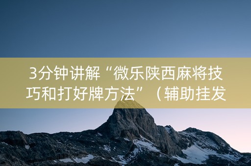 3分钟讲解“微乐陕西麻将技巧和打好牌方法”（辅助挂发牌规律)