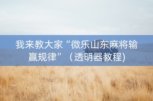 我来教大家“微乐山东麻将输赢规律”（透明器教程)