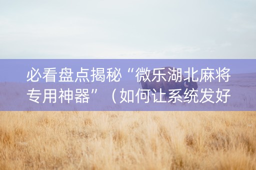 必看盘点揭秘“微乐湖北麻将专用神器”（如何让系统发好牌)