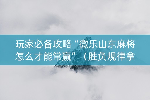 玩家必备攻略“微乐山东麻将怎么才能常赢”（胜负规律拿好牌)