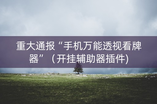 重大通报“手机万能透视看牌器”（开挂辅助器插件)