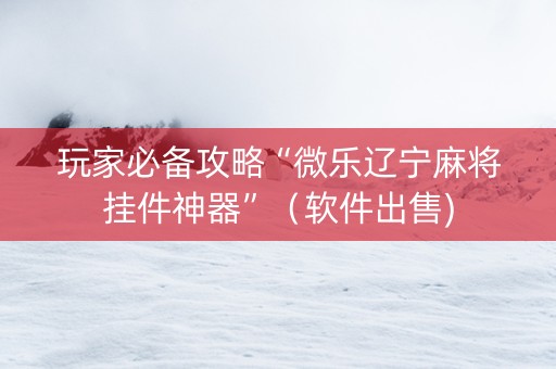 玩家必备攻略“微乐辽宁麻将挂件神器”（软件出售)