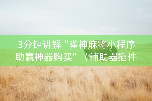 3分钟讲解“雀神麻将小程序助赢神器购买”（辅助器插件)