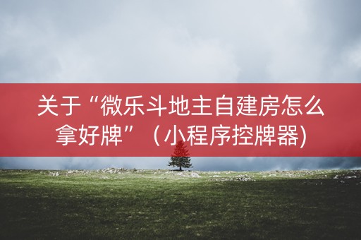 关于“微乐斗地主自建房怎么拿好牌”（小程序控牌器)