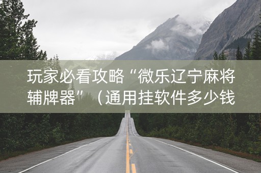 玩家必看攻略“微乐辽宁麻将辅牌器”（通用挂软件多少钱)