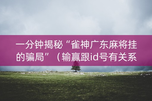 一分钟揭秘“雀神广东麻将挂的骗局”（输赢跟id号有关系吗)