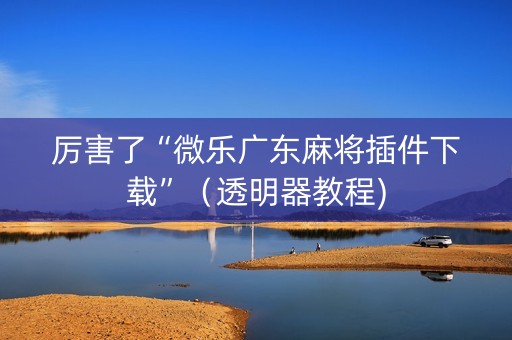 厉害了“微乐广东麻将插件下载”（透明器教程)