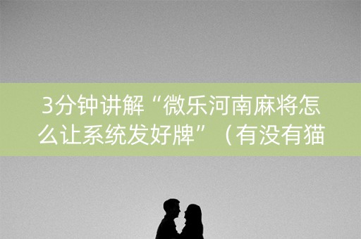 3分钟讲解“微乐河南麻将怎么让系统发好牌”（有没有猫腻)