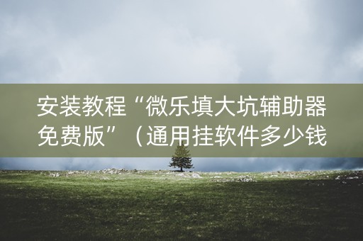 安装教程“微乐填大坑辅助器免费版”（通用挂软件多少钱)