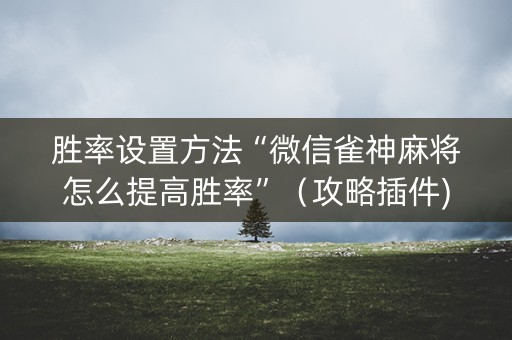 胜率设置方法“微信雀神麻将怎么提高胜率”（攻略插件)