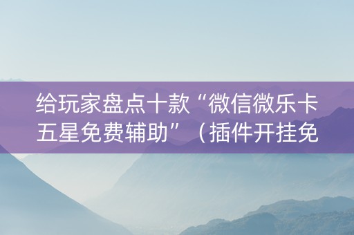 给玩家盘点十款“微信微乐卡五星免费辅助”（插件开挂免费AI)