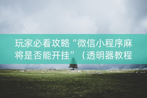 玩家必看攻略“微信小程序麻将是否能开挂”（透明器教程)