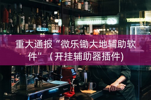重大通报“微乐锄大地辅助软件”（开挂辅助器插件)