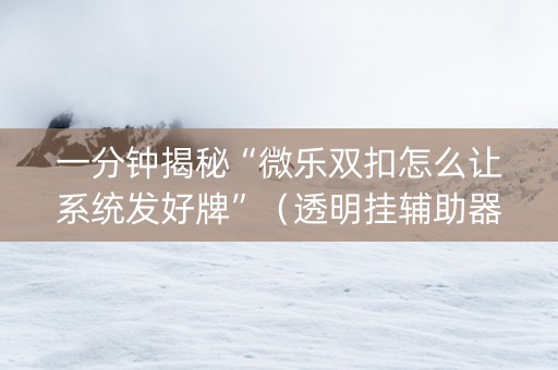 一分钟揭秘“微乐双扣怎么让系统发好牌”（透明挂辅助器)