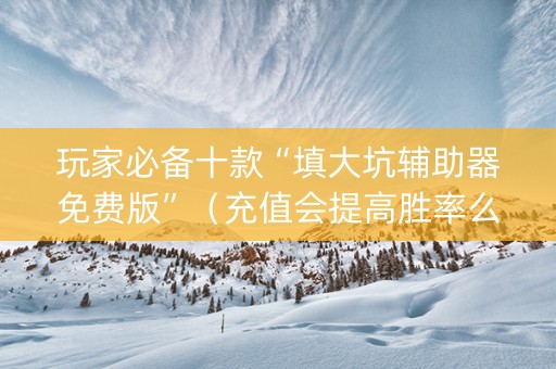 玩家必备十款“填大坑辅助器免费版”（充值会提高胜率么)