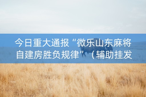今日重大通报“微乐山东麻将自建房胜负规律”（辅助挂发牌规律)