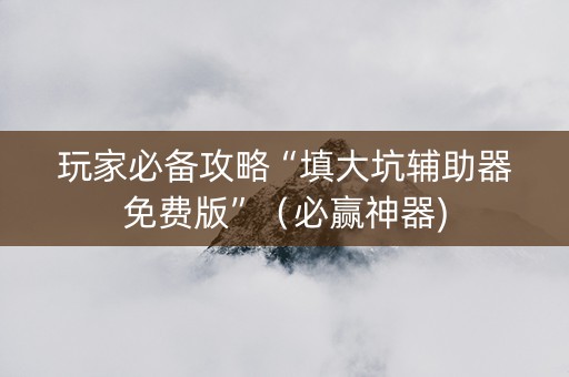 玩家必备攻略“填大坑辅助器免费版”（必赢神器)