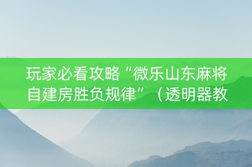 玩家必看攻略“微乐山东麻将自建房胜负规律”（透明器教程)