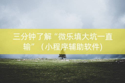 三分钟了解“微乐填大坑一直输”（小程序辅助软件)