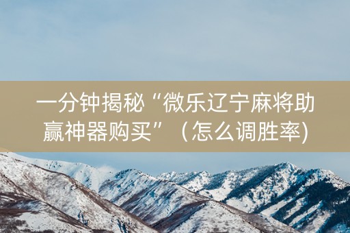 一分钟揭秘“微乐辽宁麻将助赢神器购买”（怎么调胜率)