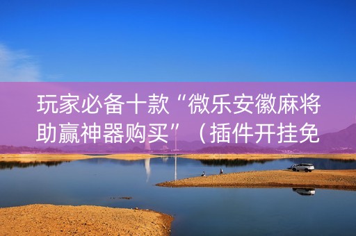 玩家必备十款“微乐安徽麻将助赢神器购买”（插件开挂免费AI)