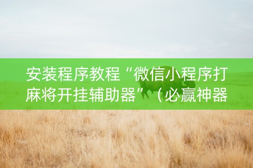 安装程序教程“微信小程序打麻将开挂辅助器”（必赢神器免费安装)