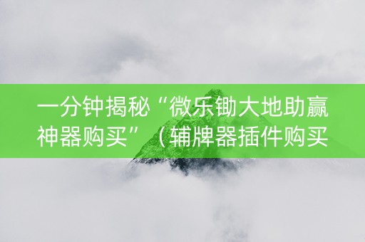 一分钟揭秘“微乐锄大地助赢神器购买”（辅牌器插件购买)