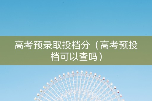 高考预录取投档分（高考预投档可以查吗）