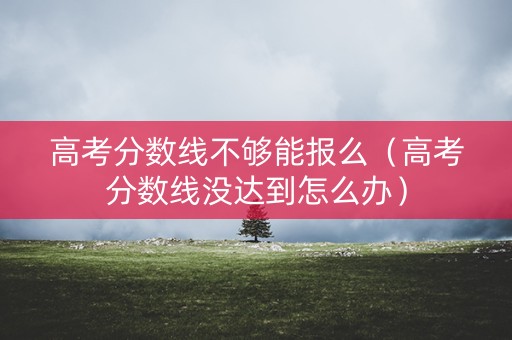 高考分数线不够能报么（高考分数线没达到怎么办）