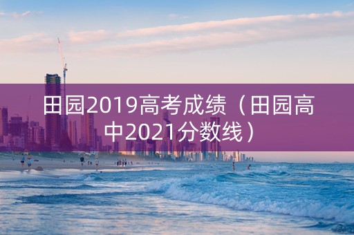 田园2019高考成绩（田园高中2021分数线）