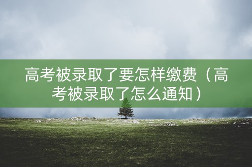 高考被录取了要怎样缴费（高考被录取了怎么通知）