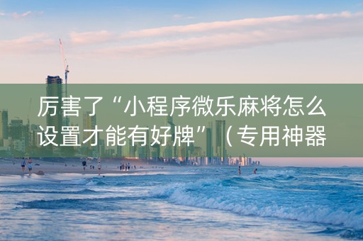 厉害了“小程序微乐麻将怎么设置才能有好牌”（专用神器下载)