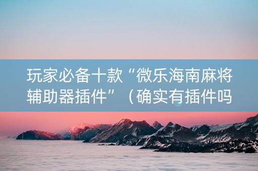 玩家必备十款“微乐海南麻将辅助器插件”（确实有插件吗)