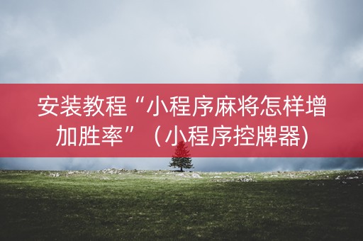 安装教程“小程序麻将怎样增加胜率”（小程序控牌器)