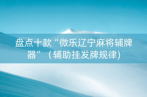 盘点十款“微乐辽宁麻将辅牌器”（辅助挂发牌规律)