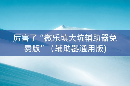 厉害了“微乐填大坑辅助器免费版”（辅助器通用版)