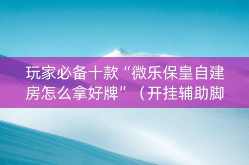 玩家必备十款“微乐保皇自建房怎么拿好牌”（开挂辅助脚本)
