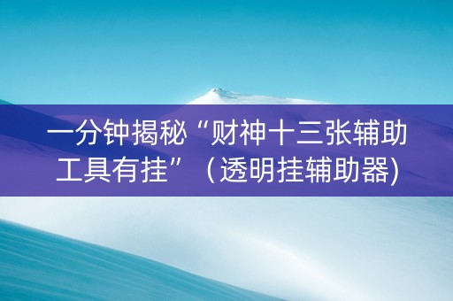 一分钟揭秘“财神十三张辅助工具有挂”（透明挂辅助器)