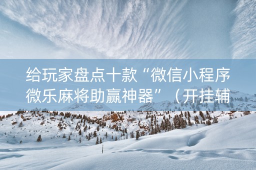 给玩家盘点十款“微信小程序微乐麻将助赢神器”（开挂辅助插件)