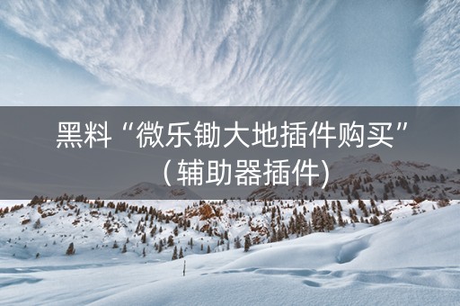 黑料“微乐锄大地插件购买”（辅助器插件)